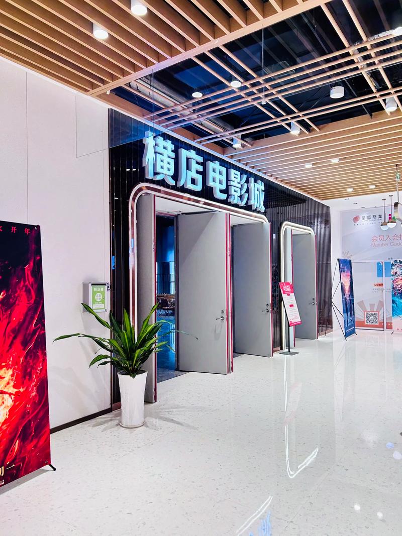 神马影院午夜dy888：午夜场电影在线观看，免费高清资源尽在神马影院