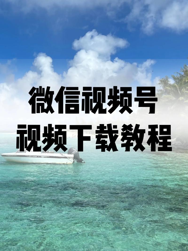 神马影院天堂的相关介绍