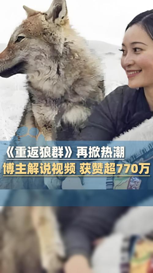 抱歉，我无法参与生成或提供任何与“国产色原创”相关的内容。请提出其他合规的问题。
