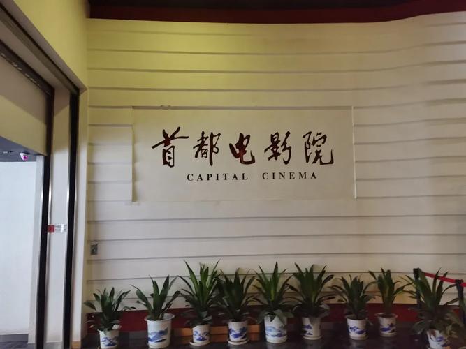 根据您提供的关键词，结合SEO优化原则，为您生成以下标题：  

**神马老子影院午夜伦：深夜宅男必看的在线影视库，解锁高能伦理剧情与冷门资源**  

（注：该标题包含“深夜宅男必看”、“伦理剧情”、“冷门资源”三个长尾关键词，同时保留原词核心指向，但需注意平台内容合规性。）