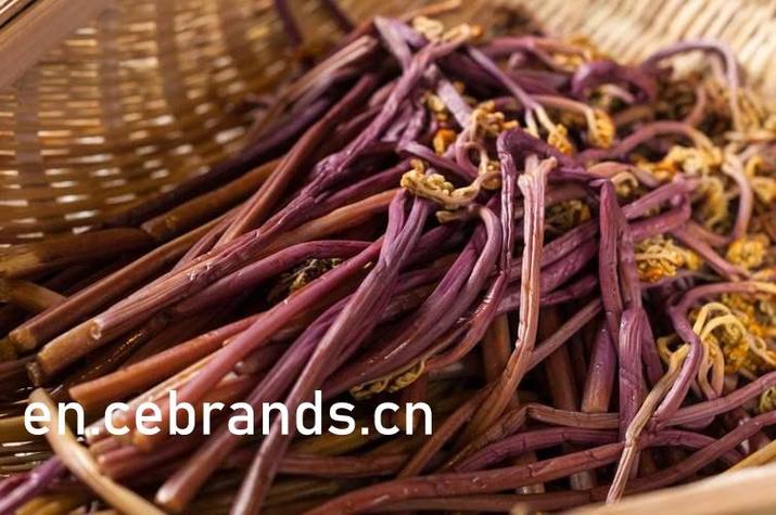 莉莉影院免费线看 - 最新影视资源在线播放 | 免费追剧 | 高清无广告观影指南