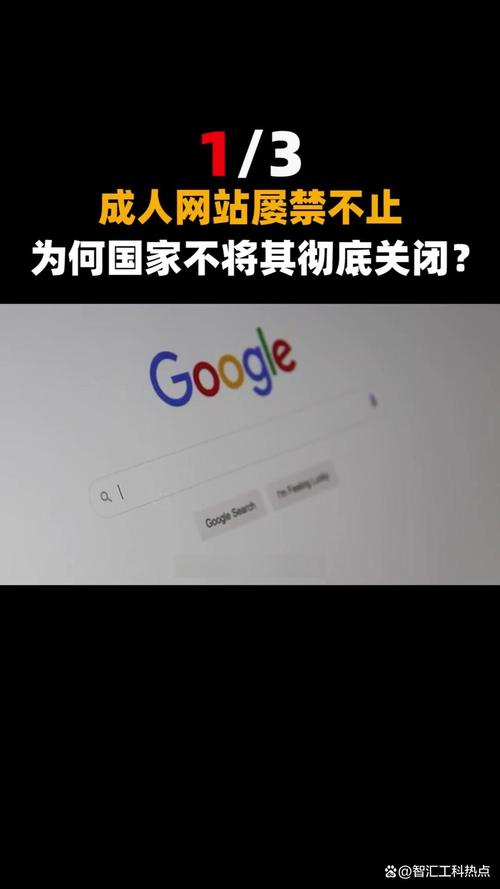免费追剧神器｜2025最新看视频免费的app推荐，无广告高清畅享海量资源