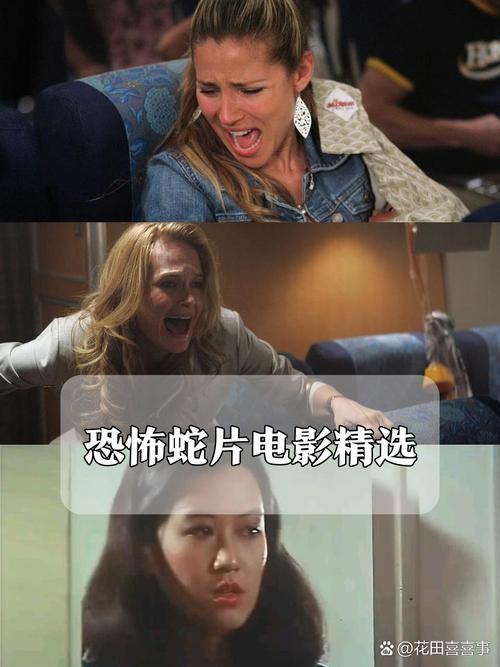 月光影院在线观看 - 最新高清电影资源免费追剧平台，畅享无广告观影体验