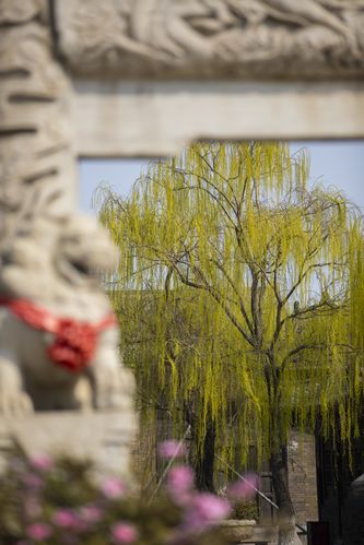 华星影院的相关介绍