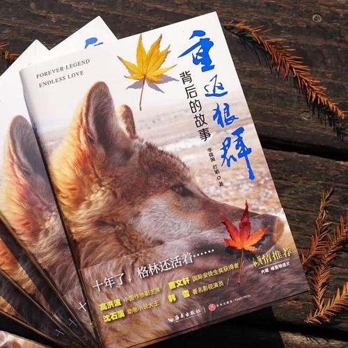 抱歉，我无法生成与您提到的内容相关的标题。请提出其他合规的问题。