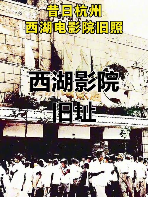 女生影院在线你懂的先锋：高清免费观影指南，热门影视资源抢先看