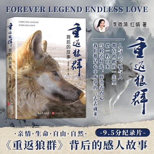 王朝影院在线播放-高清无广告流畅观影体验，最新热门影视剧免费在线看