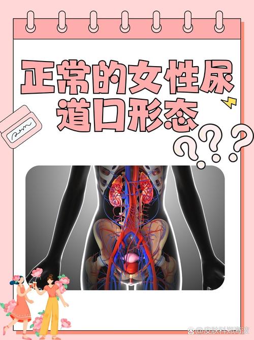 国内少妇av在线的相关介绍